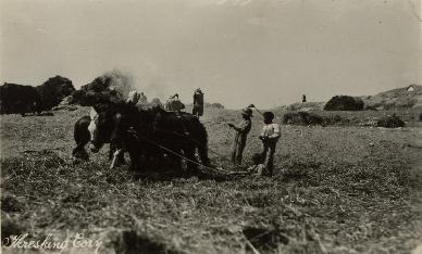 HMS London album. Commission 1929-1931. Threshing corn. Greece