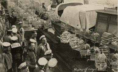HMS London album. Commission 1929-1931. Cages of canaries. Malta